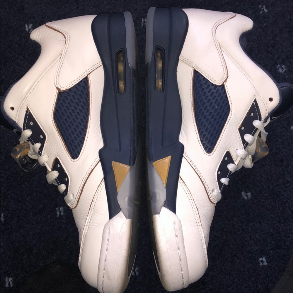 Jordan 5 Dunk From Above